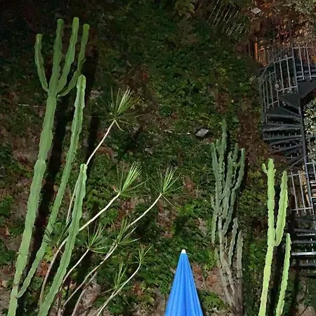 Casa Delle Galee * Scilla