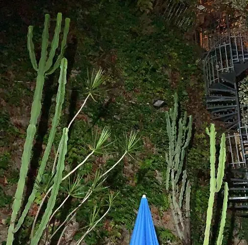 Casa Delle Galee * シッラ